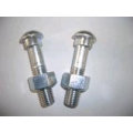 Shenzhen Stainless DIN603 Carriage Bolts